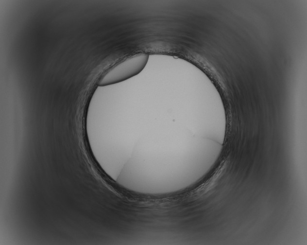 X0000095690625200801291218