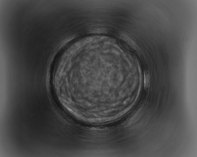 X0000095690627200801291218