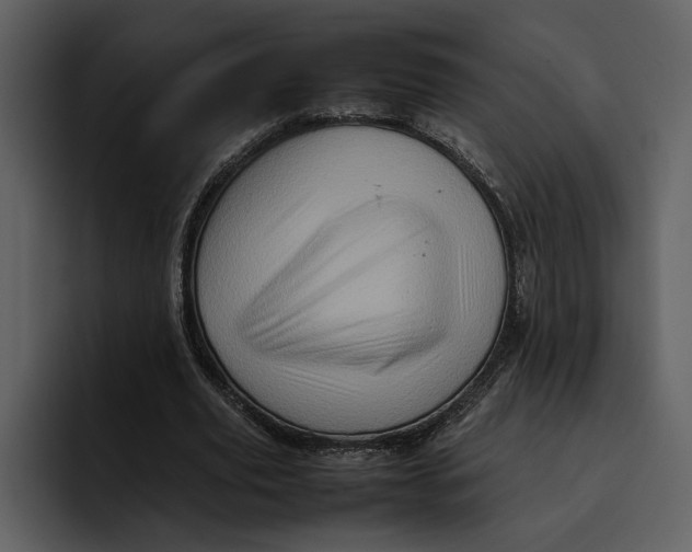 X0000095690629200801291218