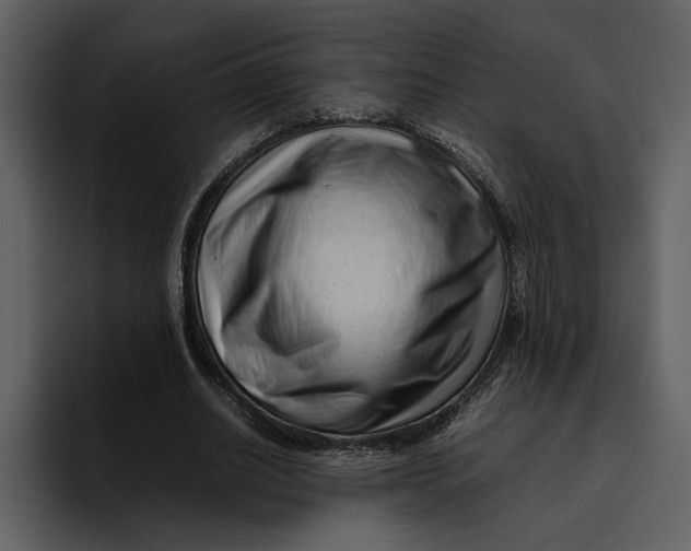 X0000095690630200801291218