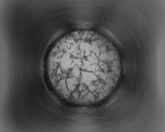 X0000095690634200801291218