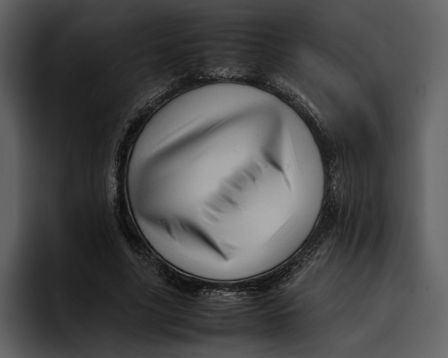 X0000095690635200801291218