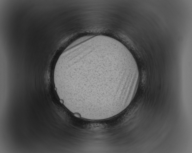 X0000095690636200801291218