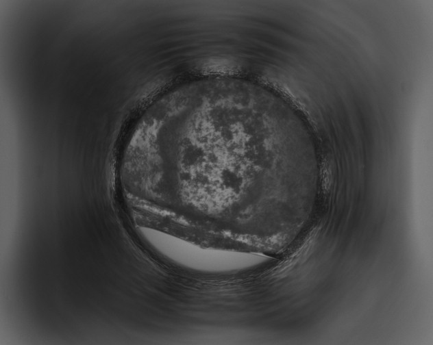 X0000095690637200801291218