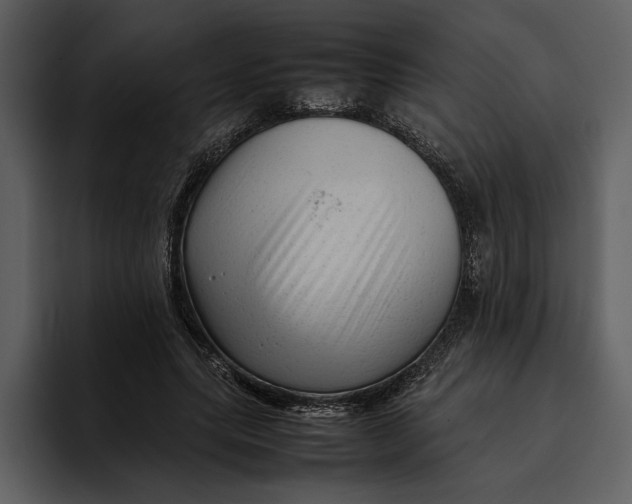 X0000095690639200801291218