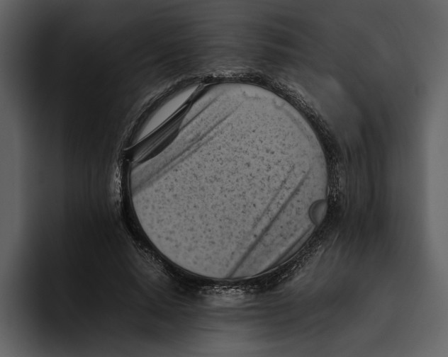 X0000095690640200801291218