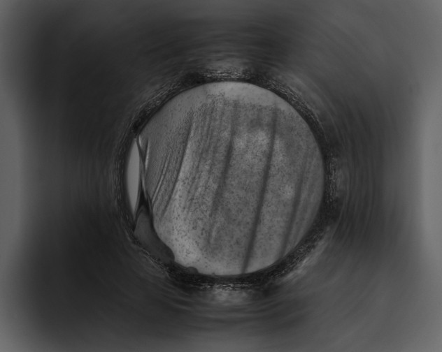 X0000095690641200801291218