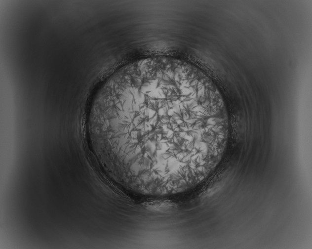 X0000095690642200801291218