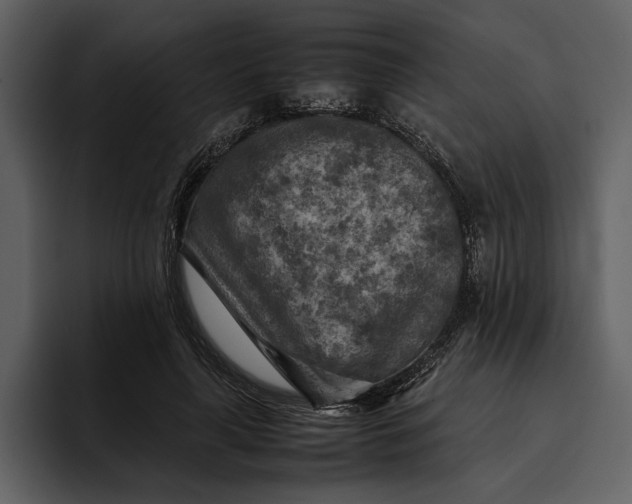 X0000095690643200801291218