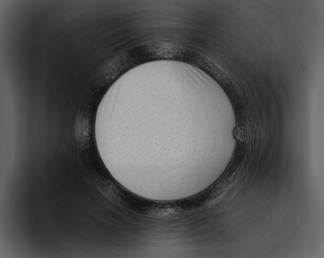 X0000095690646200801291218