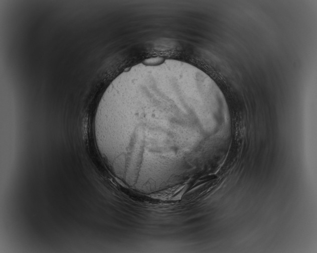 X0000095690647200801291218