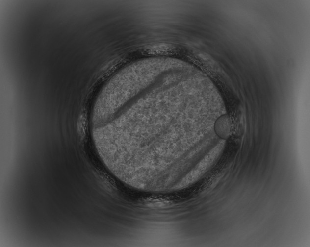 X0000095690648200801291218