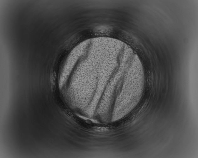 X0000095690649200801291218