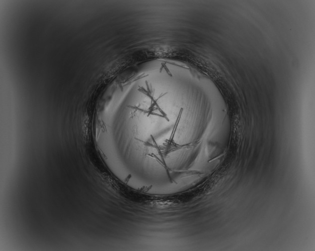 X0000095690650200801291218