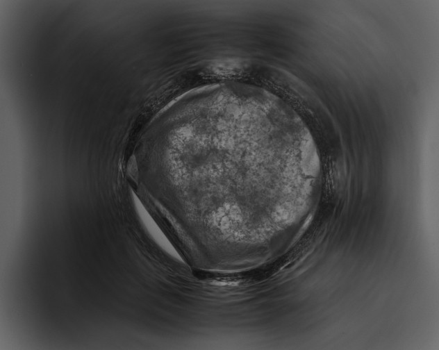 X0000095690651200801291218