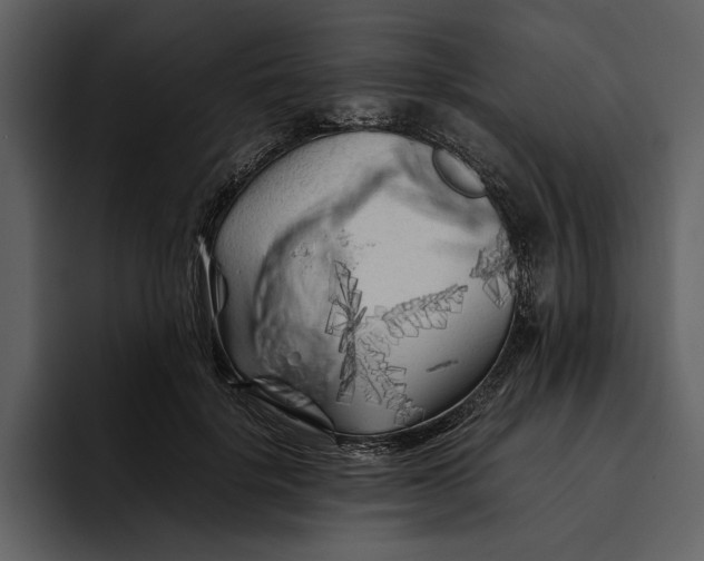 X0000095690652200801291218