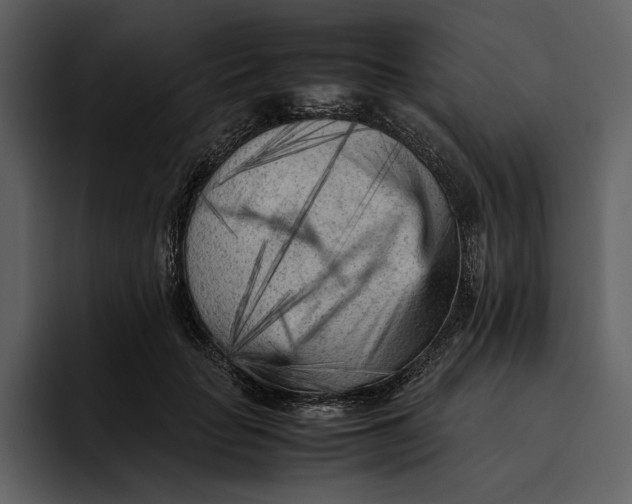 X0000095690653200801291218