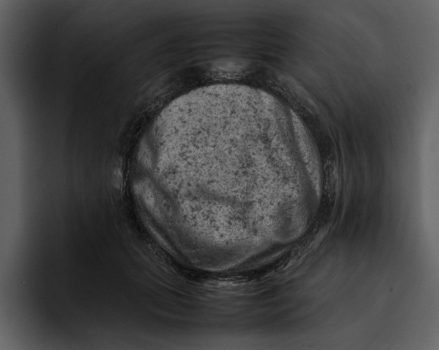 X0000095690655200801291218