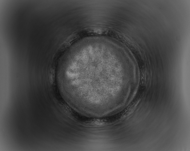 X0000095690656200801291218