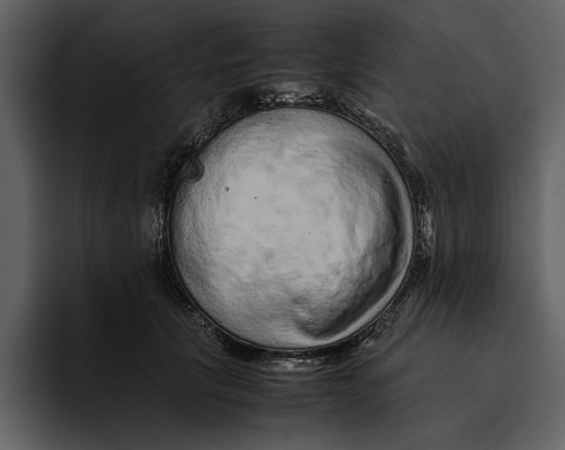 X0000095690657200801291218