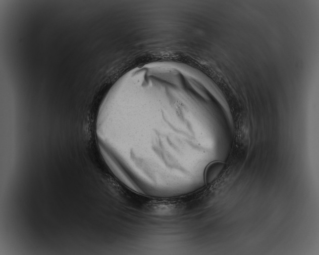 X0000095690658200801291218