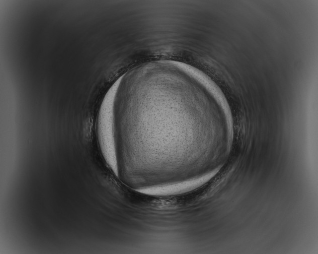 X0000095690660200801291218