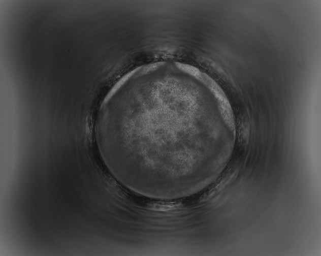 X0000095690661200801291218