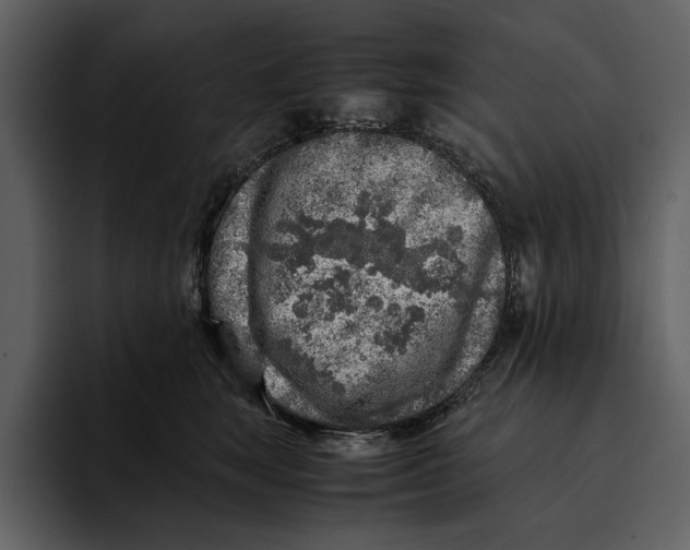 X0000095690663200801291218