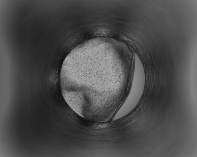 X0000095690665200801291218