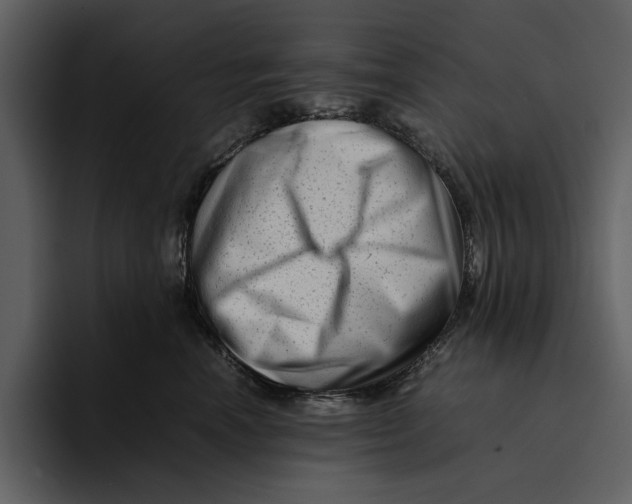 X0000095690666200801291218