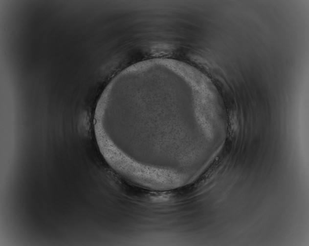 X0000095690667200801291218