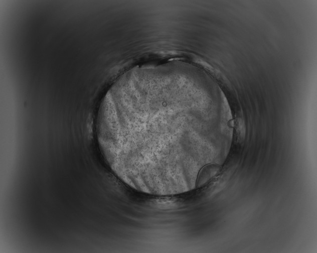 X0000095690668200801291218