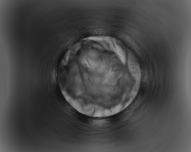 X0000095690669200801291218