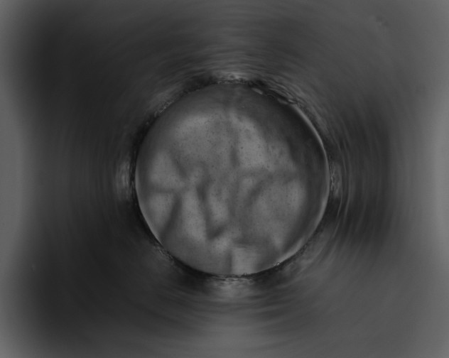 X0000095690670200801291218