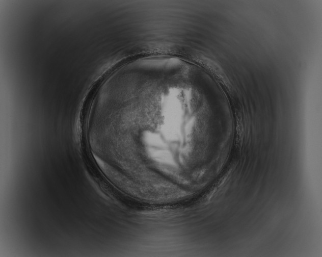 X0000095690674200801291218