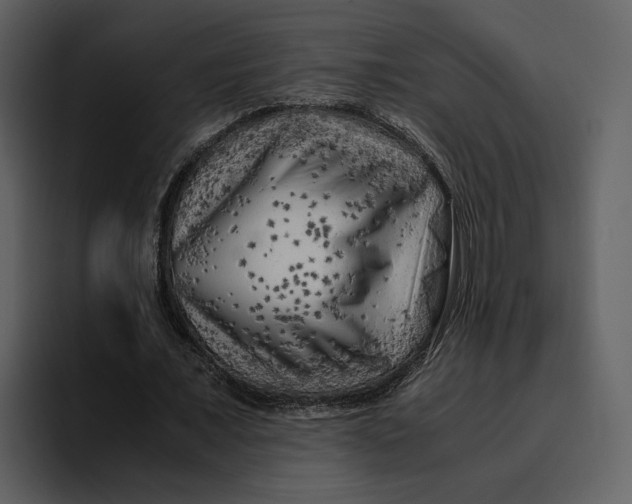 X0000095690675200801291218