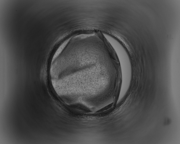 X0000095690677200801291217