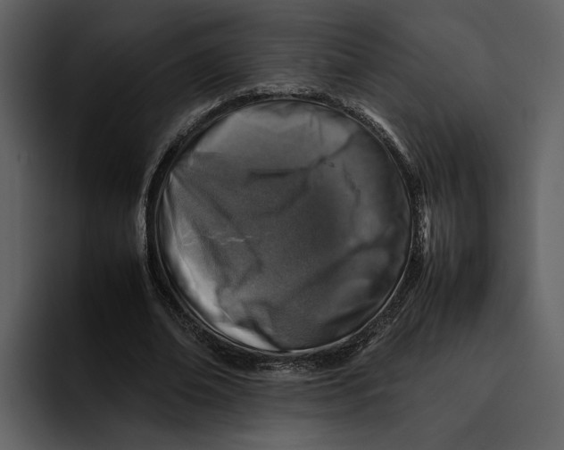 X0000095690678200801291217