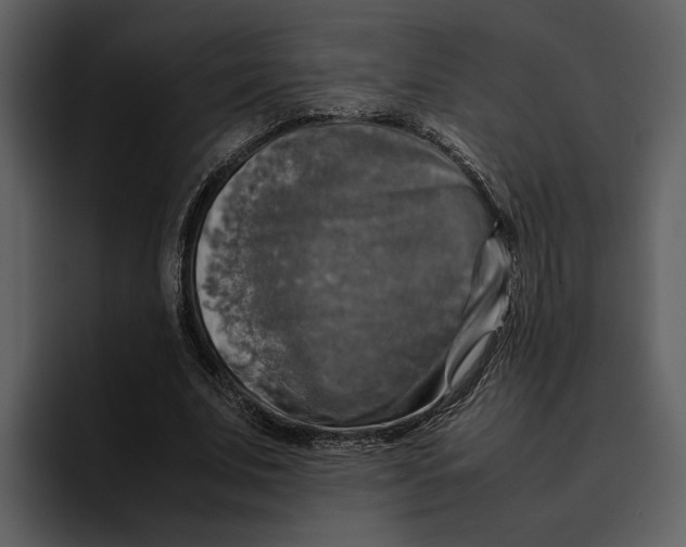 X0000095690679200801291217