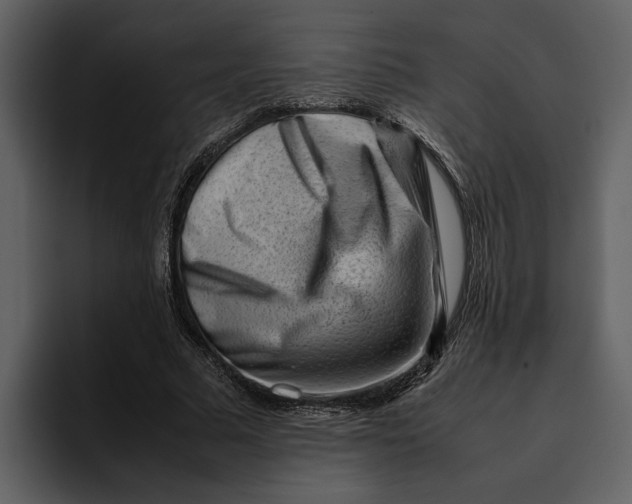 X0000095690681200801291217