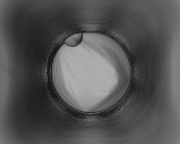 X0000095690682200801291217