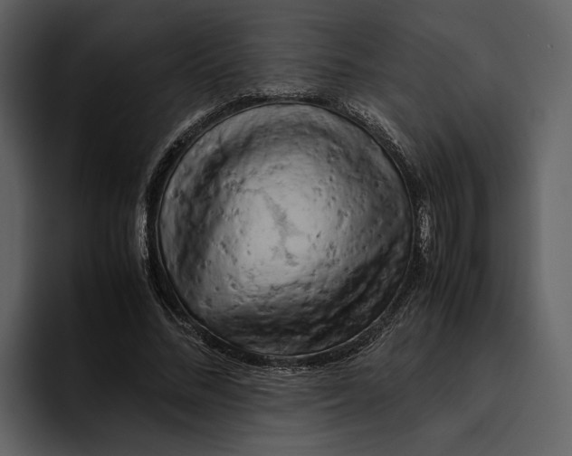 X0000095690684200801291217