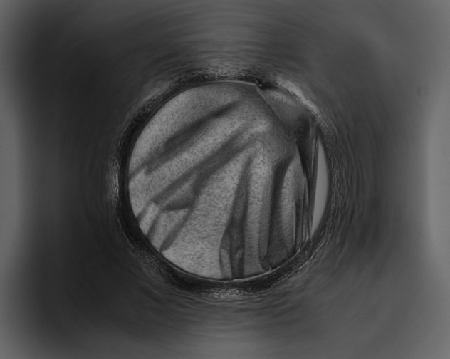 X0000095690685200801291217