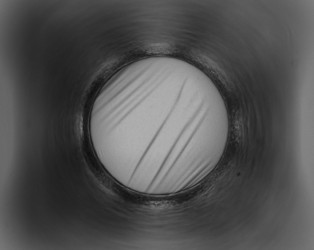 X0000095690686200801291217