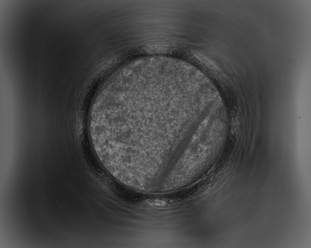 X0000095690687200801291217