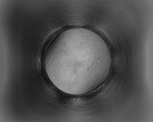 X0000095690688200801291217