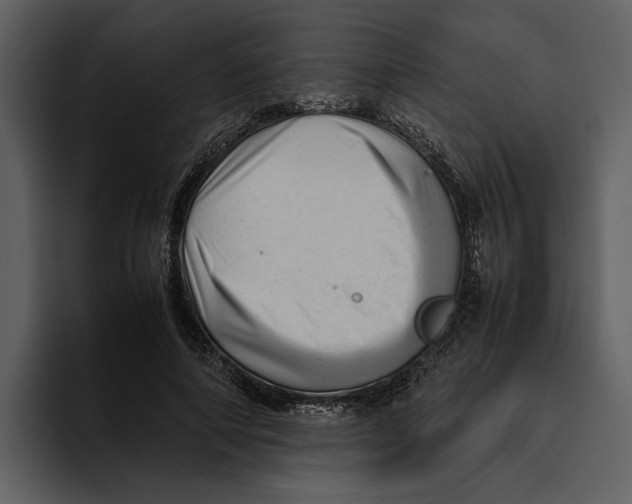 X0000095690690200801291217