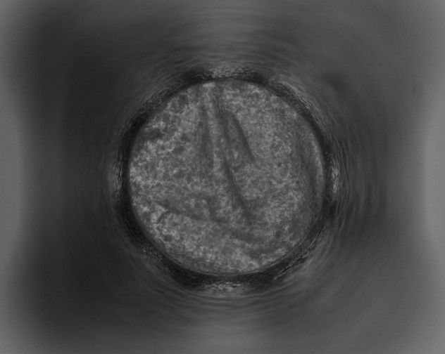 X0000095690691200801291217