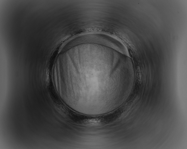 X0000095690692200801291217