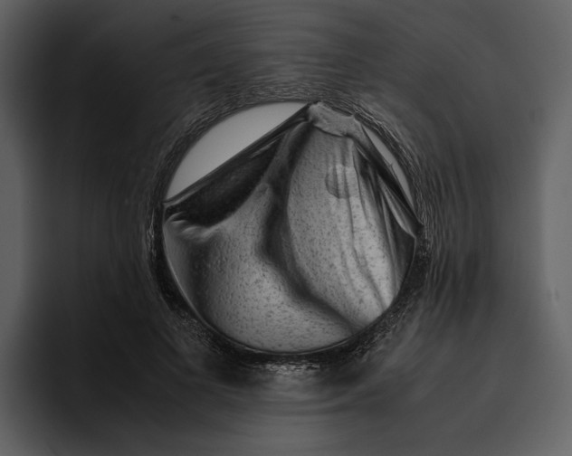 X0000095690693200801291217